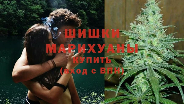 Альфа ПВП Аркадак