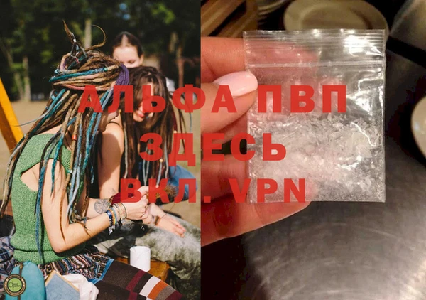 Альфа ПВП Аркадак