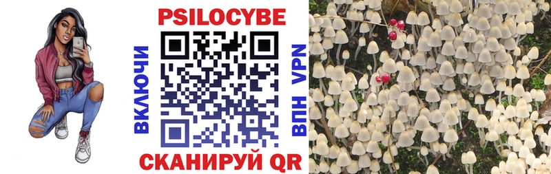 Псилоцибиновые грибы Psilocybine cubensis  наркошоп  Ревда 